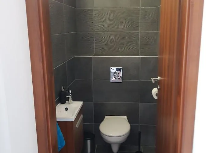 Galeriuspremium8 שיופוק